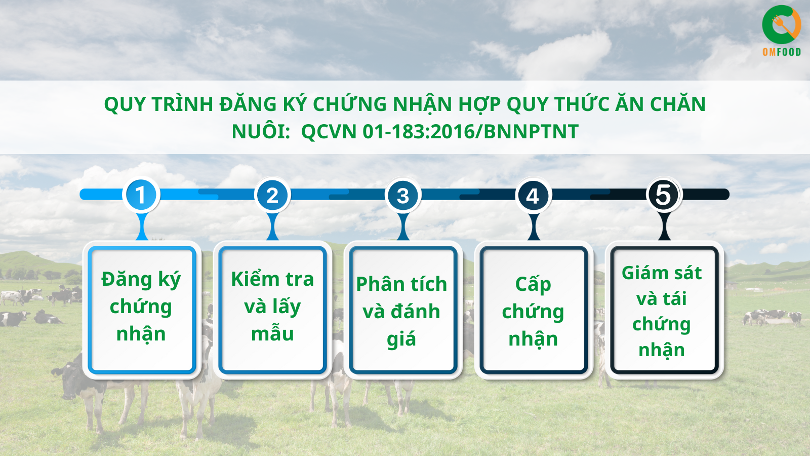 Quy trình chứng nhận hợp quy thức ăn chăn nuôi