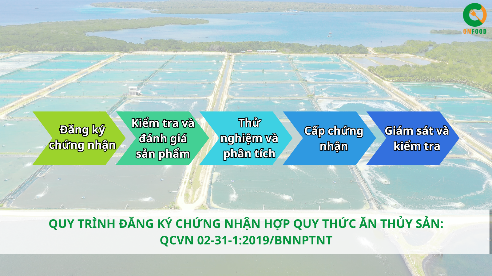 Quy trình chứng nhận hợp quy thức ăn hải sản 