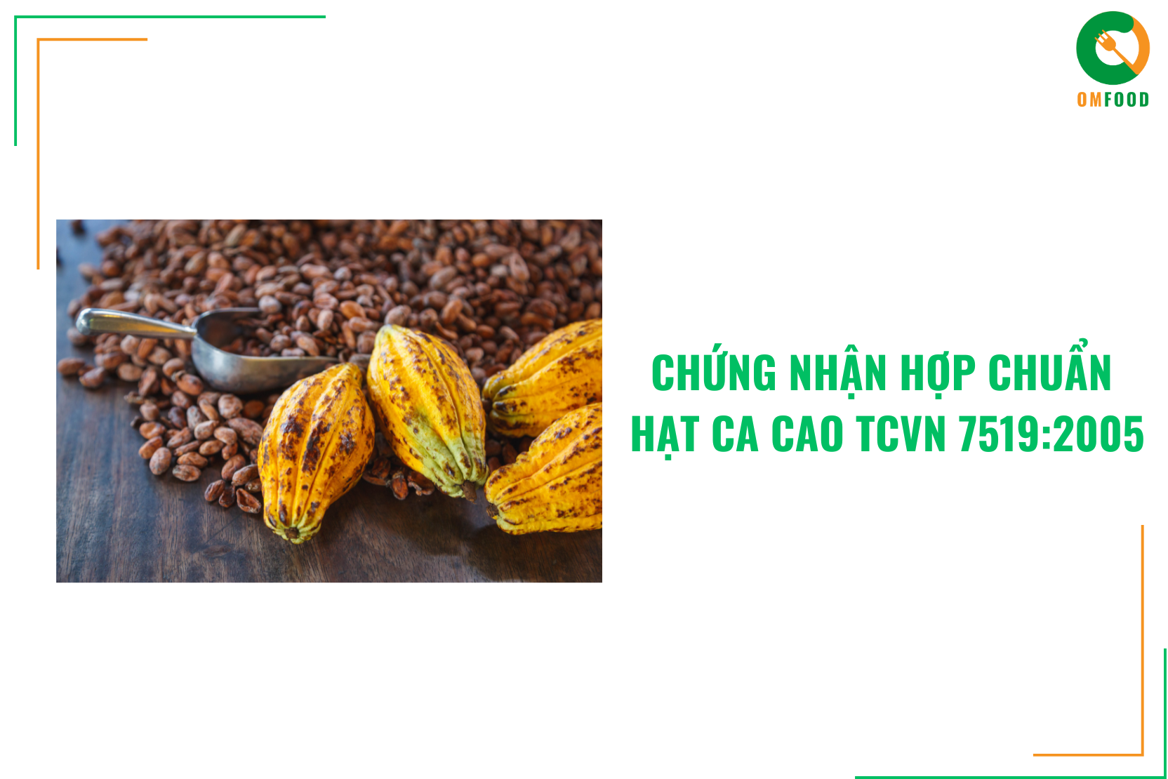 Chứng Nhận Hợp Chuẩn Hạt Ca Cao TCVN 7519:2005